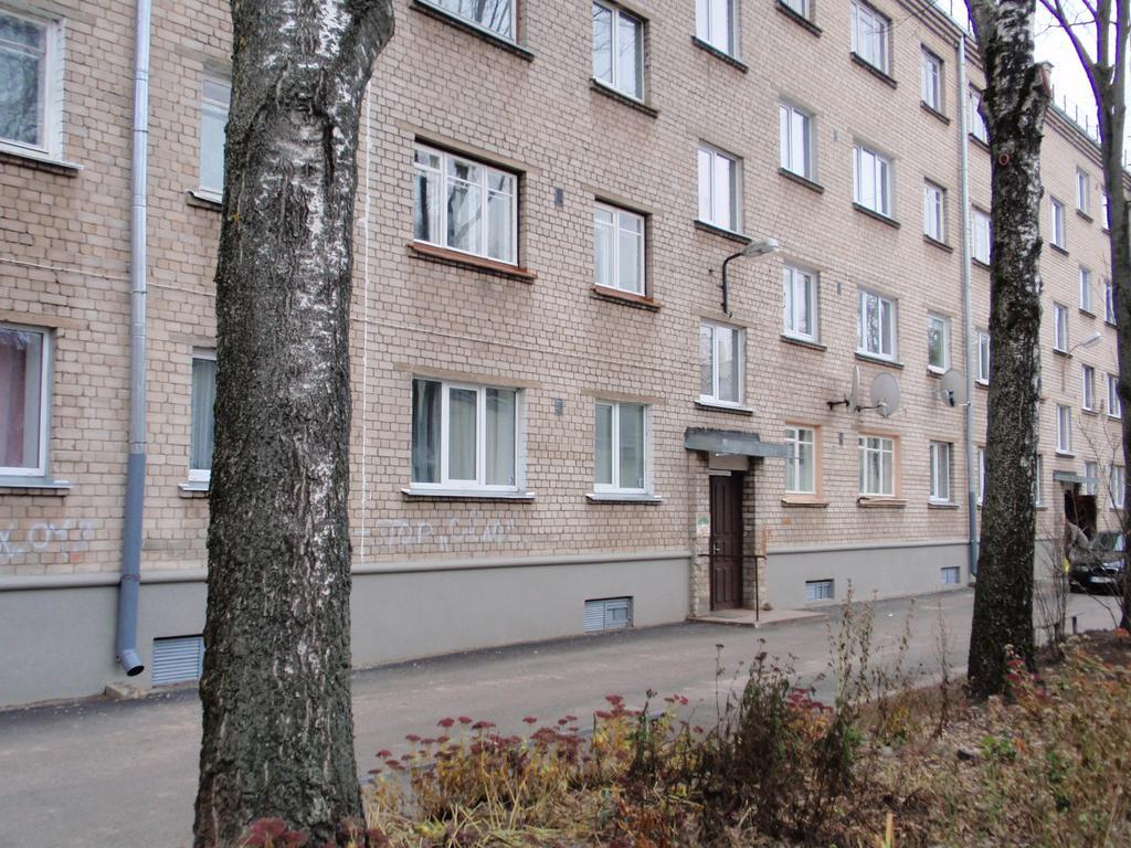 Central Cietoksna Street Apartment 陶格夫匹尔斯 外观 照片